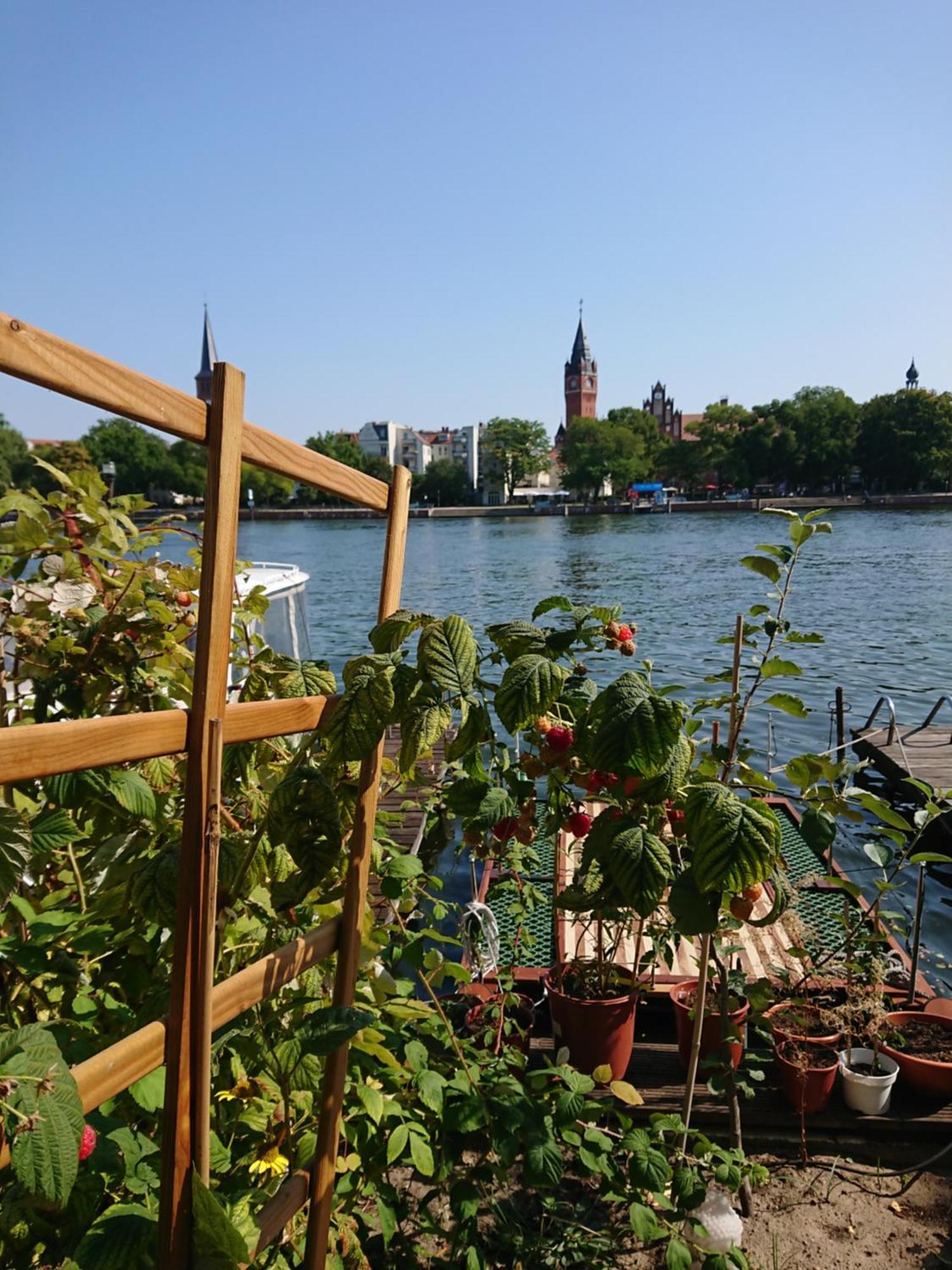 Ferienwohnung Dahme Berlin Am Wasser Екстериор снимка